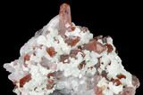 Hematite Quartz, Dolomite and Pyrite Association - China #170231-1